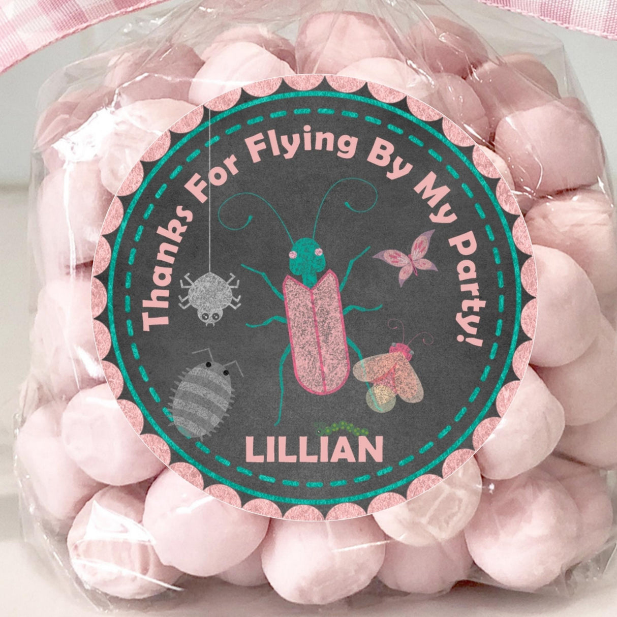 Chalkboard girls bug birthday sticker with pink and teal insects