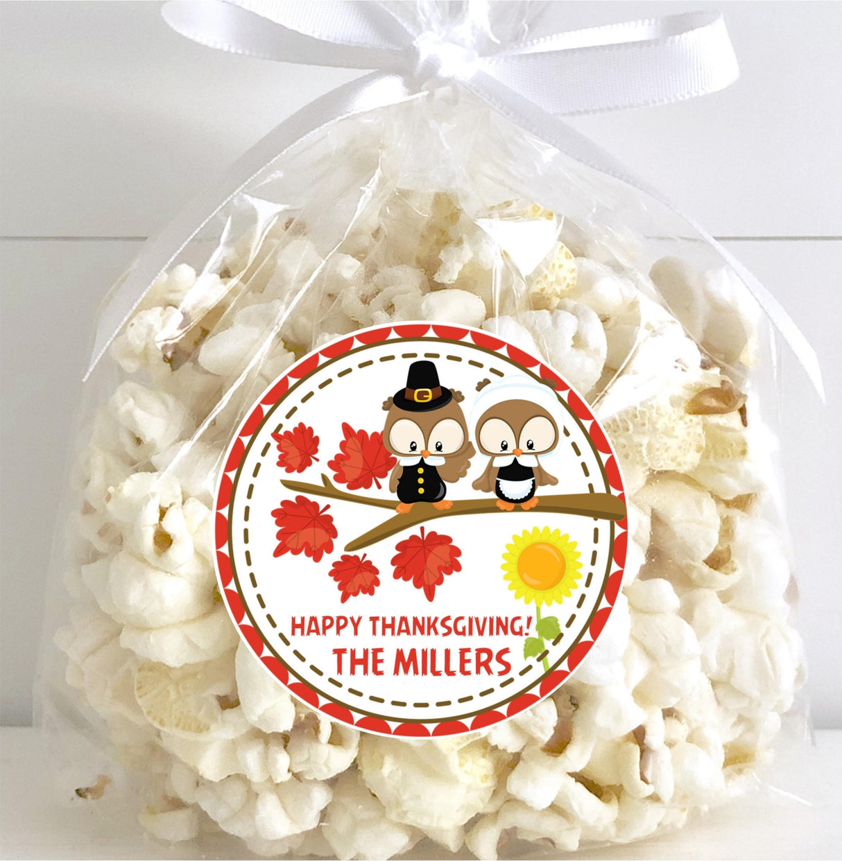 Cute pilgrim owl fall sticker for Thanksgiving party favors