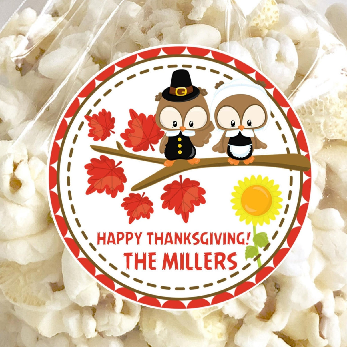 Pilgrim owl Thanksgiving sticker with fall leaves and branch scene