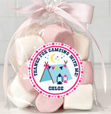 Chevron tent camping birthday design in pink and blue