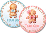 Christmas gender reveal stickers with blue and pink gingerbread cookie artwork