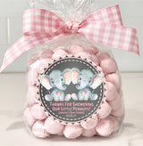 Girls pink twins elephant baby shower sticker labels