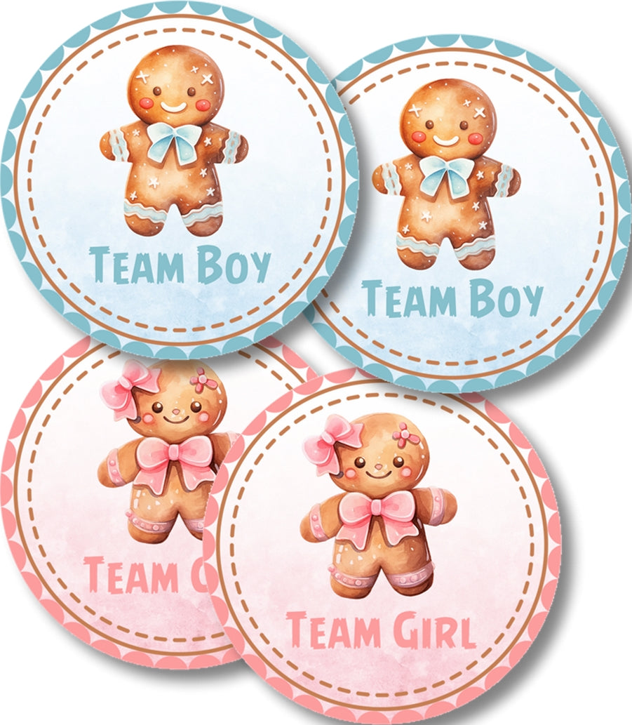 Holiday gender reveal voting stickers for Team Boy and Team Girl guests