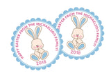 Pink And Blue Easter Bunny Stickers