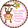 Pink green girls monkey birthday sticker jungle monkey design
