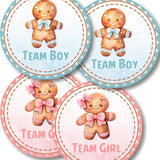 Round Team Boy and Team Girl gender reveal stickers featuring gingerbread characters