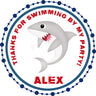 Shark birthday sticker swimming party design
