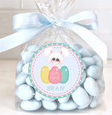 Spring Easter bunny sticker for baskets and treats