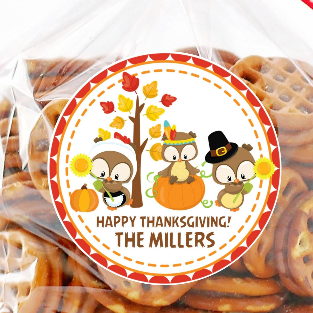 Thanksgiving owl sticker with pumpkins fall leaves and harvest colors