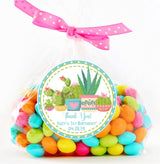 cactus themed birthday sticker with multicolor pots