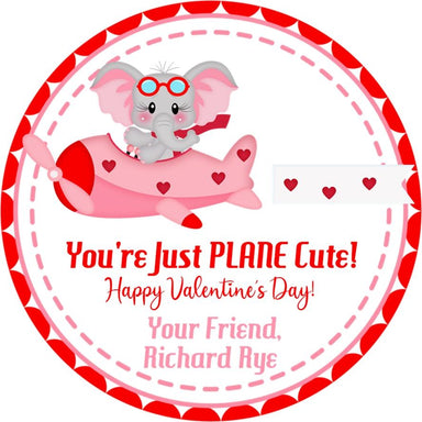 Just Plane Cute Valentine's Day Stickers