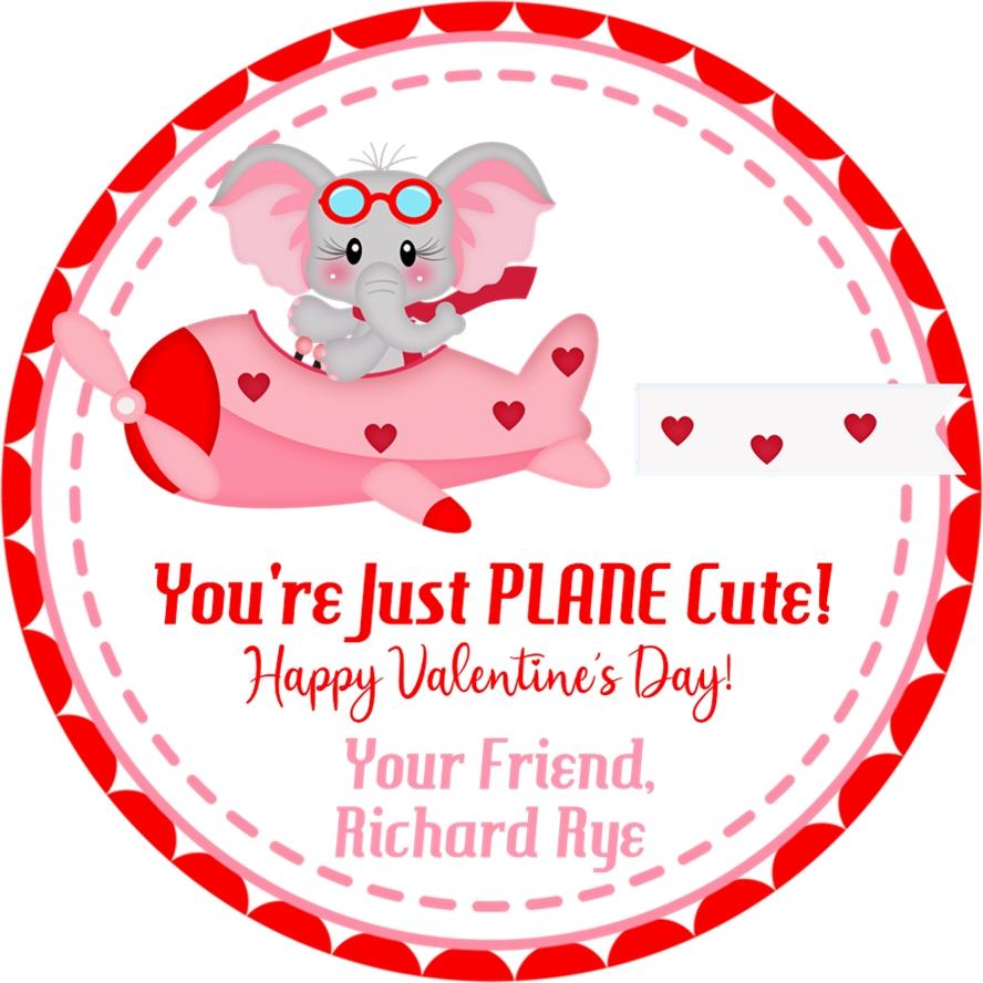 Just Plane Cute Valentine's Day Stickers — Party Beautifully