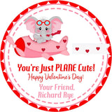 Kids airplane Valentine favor label for classroom