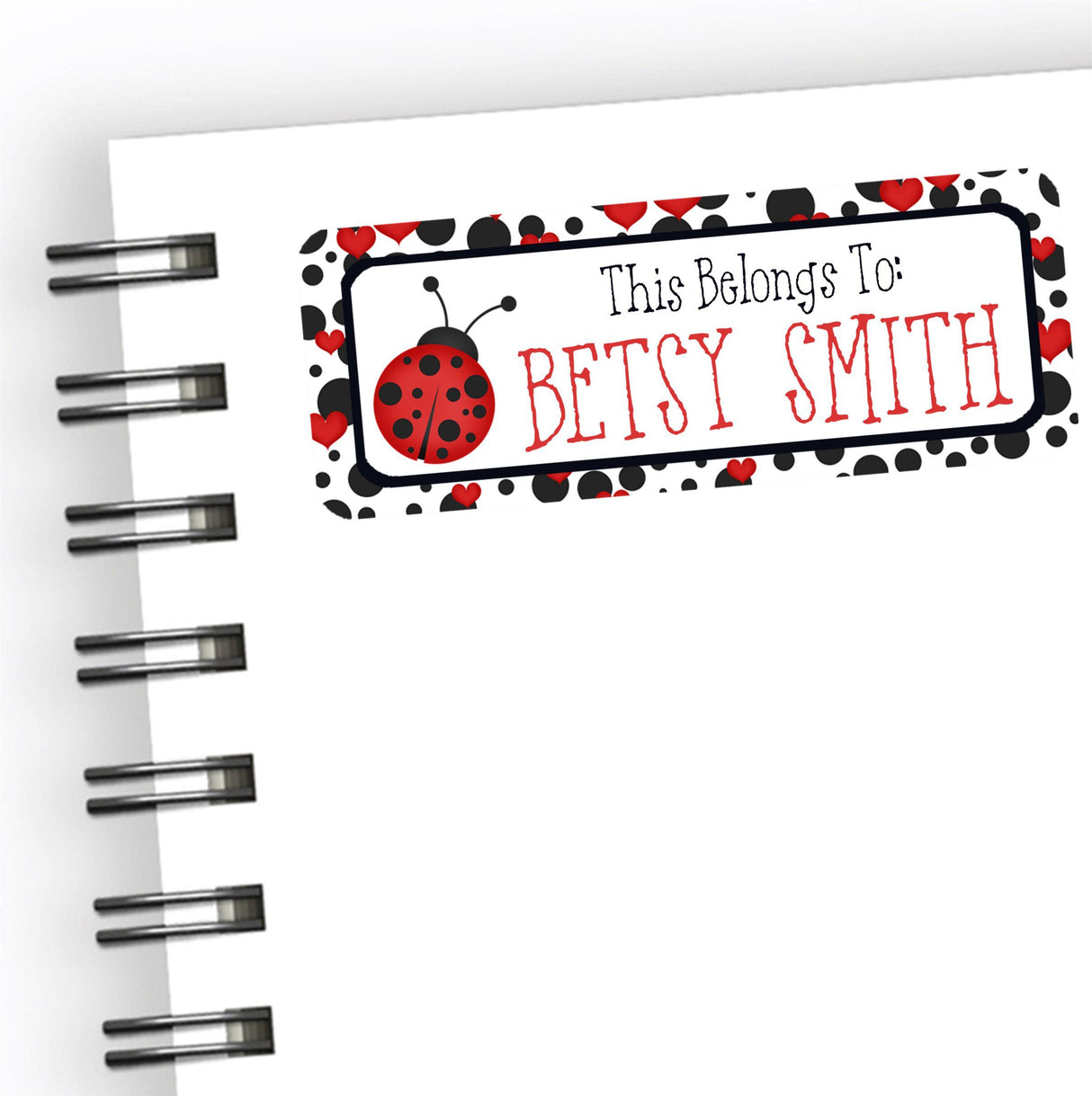 Ladybug back to school name labels with red and black artwork