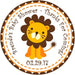 Safari Lion Baby Shower Stickers