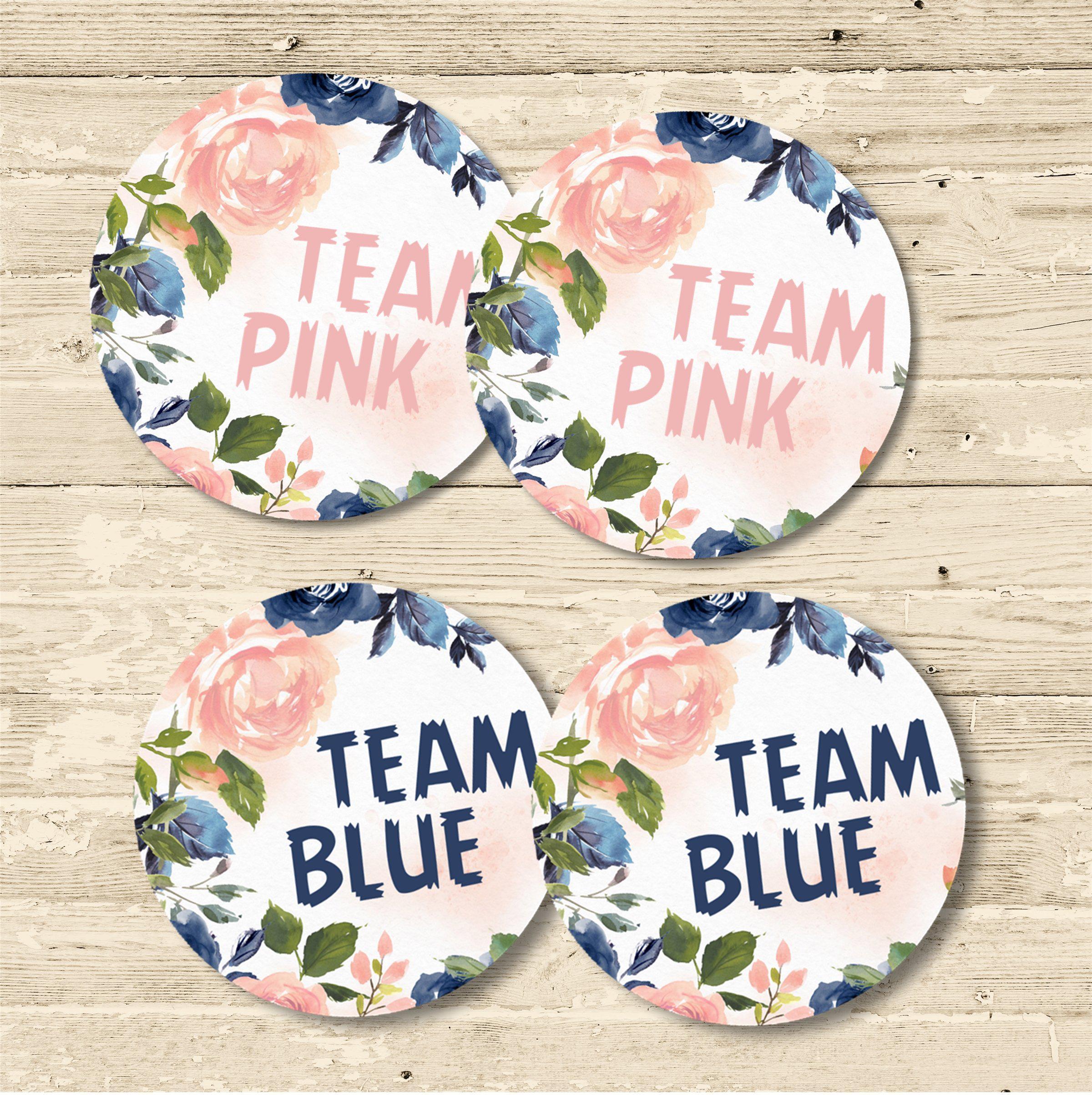 Team Pink Team Blue Gender Reveal Stickers