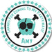 Turquoise Pirate Birthday Party Stickers